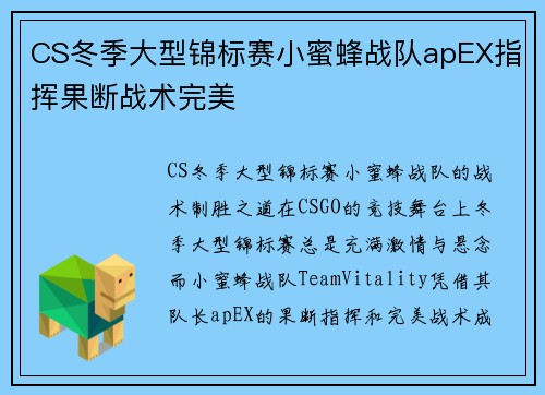 CS冬季大型锦标赛小蜜蜂战队apEX指挥果断战术完美 CS冬季大型锦标赛小蜜蜂战队apEX指挥果断战术完美