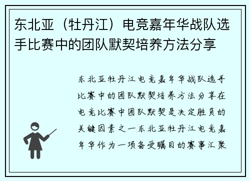 东北亚（牡丹江）电竞嘉年华战队选手比赛中的团队默契培养方法分享