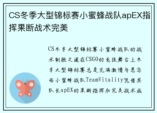 CS冬季大型锦标赛小蜜蜂战队apEX指挥果断战术完美 CS冬季大型锦标赛小蜜蜂战队apEX指挥果断战术完美