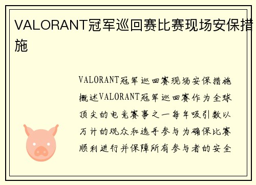 VALORANT冠军巡回赛比赛现场安保措施