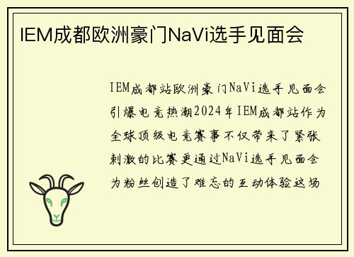 IEM成都欧洲豪门NaVi选手见面会