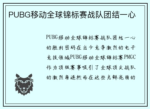 PUBG移动全球锦标赛战队团结一心